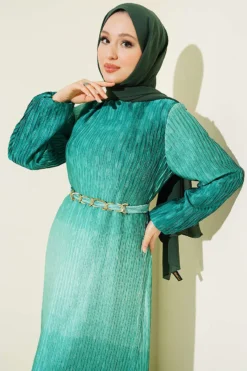 Vue alternative de Gathered Pleated Belted Dress Green
