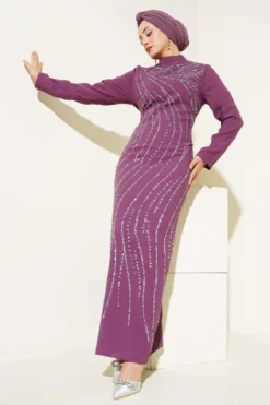 Embellished Plus Size Evening Dress
