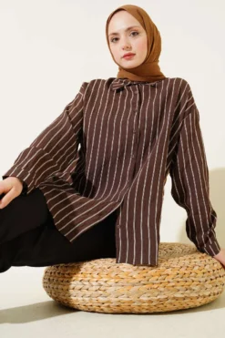 Back Double Pleated Striped Shirt Brown