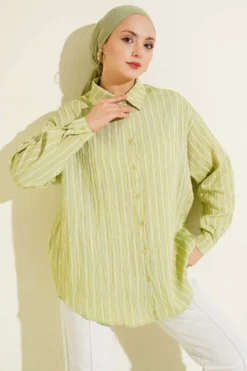 Back Double Pleated Striped Shirt