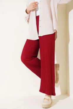 Elastic Waist Pleated Trousers Burgundy