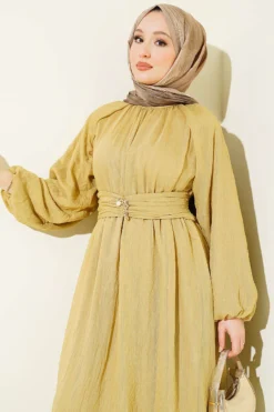 Vue alternative de Elastic Waist Flared Dress