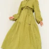 Elastic Waist Balloon Sleeve Pleated Dress