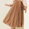 Ruffled Pleated Waistband Skirt