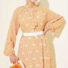 Tie-Neck Balloon Sleeve Gingham Dress Camel - immagine 2