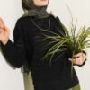 Zebra Print Knitted Sweater Black