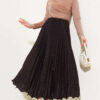 Mini Stone-Embellished Pleated Skirt Dark Brown - Image 2